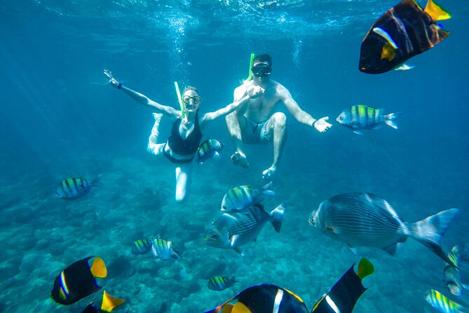 Yelapa Waterfall, BBQ at Exclusive Majahuitas Beach & Open bar - Should you book the Yelapa and Majahuitas tour?