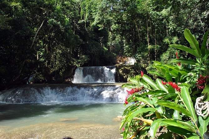 YS Falls, Black River Safari, Appleton Rum Tour OR Pelican Bar (Choose Up to 3) - What the $195 really buys you