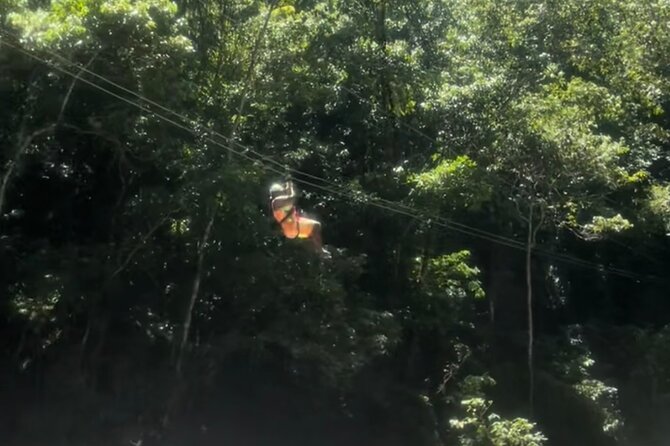 YS Falls, Black River Safari, Appleton Rum Tour OR Pelican Bar (Choose Up to 3) - YS Falls, rope swings, and cool water