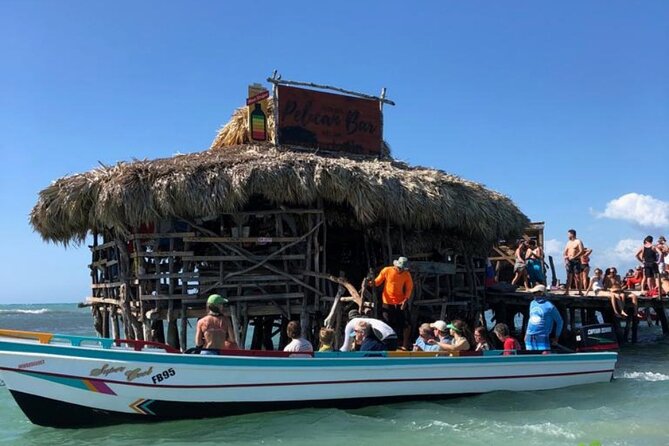 YS Falls, Black River Safari, Appleton Rum Tour OR Pelican Bar (Choose Up to 3) - How the guiding affects your day